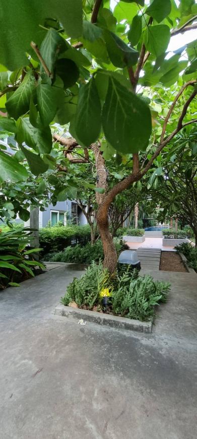 ขาย The Trust Residents Central Pattaya  Patt ภาพที่ 16