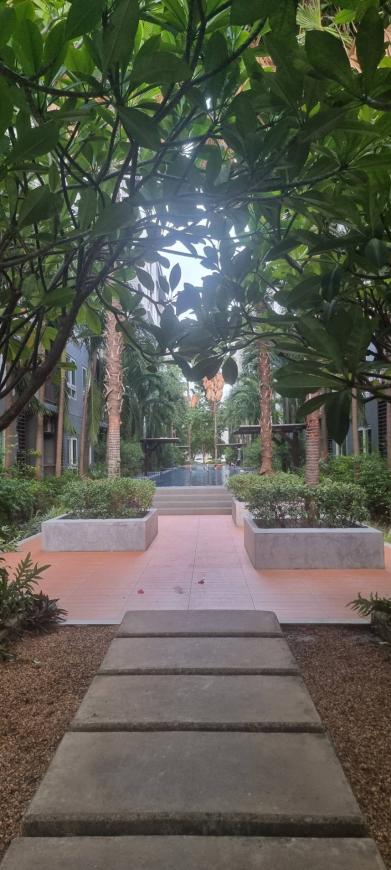 ขาย The Trust Residents Central Pattaya  Patt ภาพที่ 17