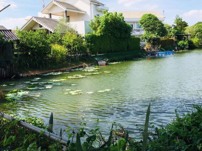 หมู่บ้านบ้านชมบึง  อ.บ้านบึง จ.ชลบุรี ภาพที่ 2