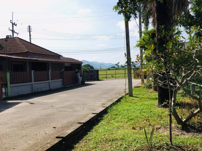 หมู่บ้านบ้านชมบึง  อ.บ้านบึง จ.ชลบุรี ภาพที่ 3