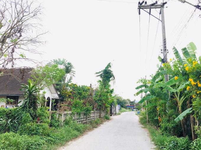 บ้านเดียว พื้นที่ 297 หัวมุม  ภาพที่ 5