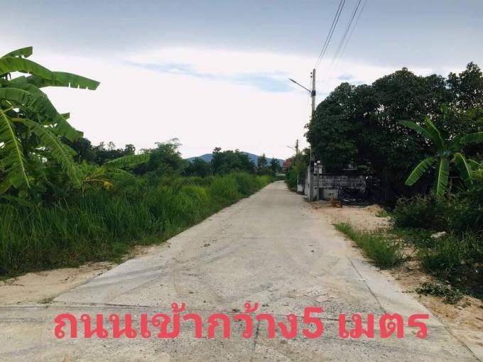 ที่ดินสวยถมแล้ว​ ต.มาบไผ่​  (ยี่กงษี​ บ้านบึงชลบุรี​) ภาพที่ 6