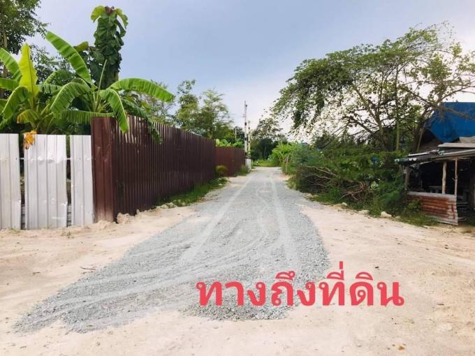 ที่ดินสวยถมแล้ว​ ต.มาบไผ่​  (ยี่กงษี​ บ้านบึงชลบุรี​) ภาพที่ 7