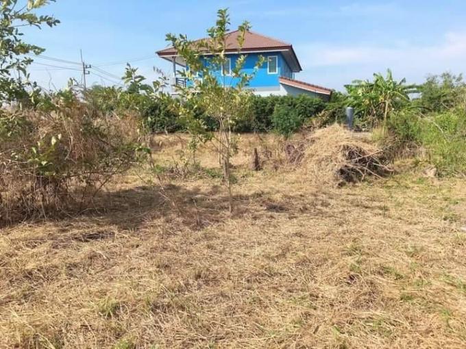 ที่ดินถมแล้วสวย หนองตำลึง 90 ตรว. ภาพที่ 6