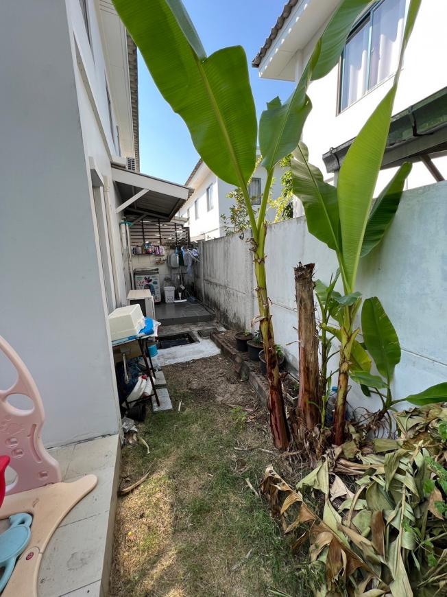 ขายบ้านแฝด  หมู่บ้านไลฟ์ กาเด้นโฮม วิลเลจ (โรงโป๊ะ) Life Garden Home Village (Rong Po) (ญ )  ภาพที่ 11