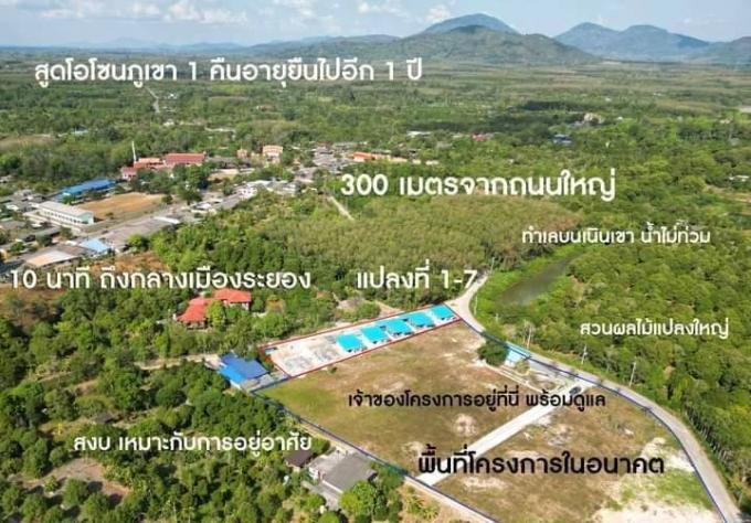 ขายบ้าน โครงการคูณทวี วิลเลจ นาตาขวัญ : เมืองระยอง ใกล้ชายหาดหาดเเม่รำพึง ภาพที่ 9