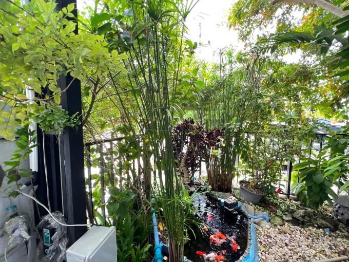 ขายบ้าน หมู่บ้านพฤกษา อมตะ-บายพาส ( นาป่า ) ขายตามสภาพนางฟ้า ภาพที่ 4