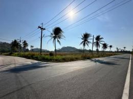 ขายที่ดิน ทำลานจอดตู้คอนเทนเนอร์ ศรีราชา ติดทุน 