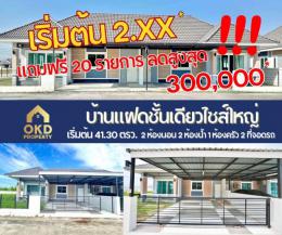 ขายบ้านแฝดพนัสนิคม  ทุ่งขวาง ซ.18