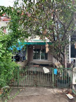 TMPN050 หมู่บ้านพฤกษ์ลดา การ์เด้นท์ ชลบุรี (Pruklada Garden) TMPN050 หมู่บ้านพฤกษ์ลดา การ์เด้นท์ ชลบุรี (Pruklada Garden)